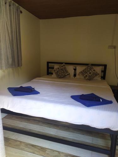 a bed with two blue pillows on top of it at Palm Trees Ayurvedic Heritage in Patnem