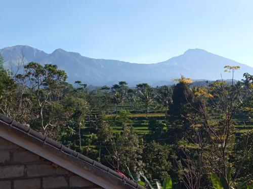 a view of a jungle with mountains in the background at Tetebatu Fullmoon in Tetebatu