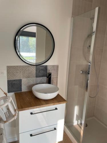 a bathroom with a sink and a mirror at Villa poétique proche de Lyon in Saint-Marcel-en-Dombes