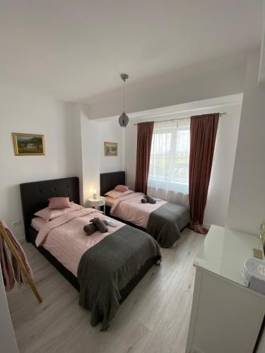 a bedroom with two beds and a window at Dio's Apartment 29F-1 in Sfîntu Ilie