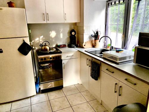 une cuisine avec une cuisinière et un réfrigérateur dans l'établissement Maison Dans les nuages, à Oderen