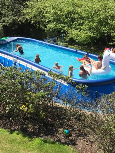 un groupe de personnes dans une piscine dans l'établissement Villa71, à Rijkevorsel