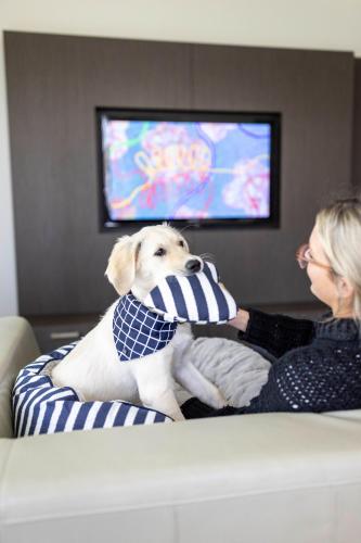 a woman sitting on a couch with a dog wearing a scarf at Pier 21 Riverside Apartment Hotel in Fremantle