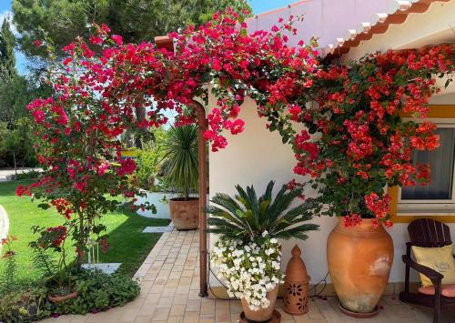 una pérgola con flores rojas en un jardín en Villa Lagos Algarve for families & friends, 6 bedrooms, 7 bathrooms, pool, BBQ, central heating en Pedra Alçada
