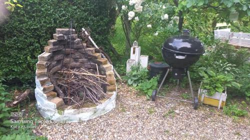 a grill sitting next to a pile of fire sticks at Holiday Home Paunovaca in Erdut