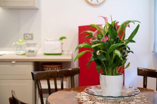 une plante en pot assise sur une table dans l'établissement Casa Bouganville - St. Peter Romantic Apartment, à Rome