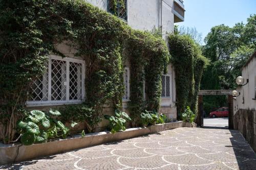 Casa Bouganville - St. Peter Romantic Apartment