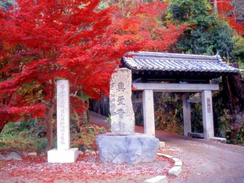 two stone monuments with a tree with red leaves at Hanayashiki Ukifune-en in Uji