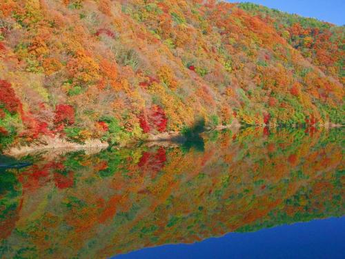 a hillside with autumn leaves reflecting in the water at Hanayashiki Ukifune-en in Uji