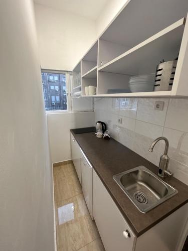 Η κουζίνα ή μικρή κουζίνα στο Dusan knez mihailova city center apartment obilicev venac