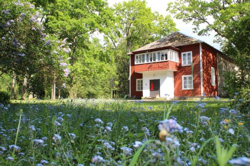a house in the middle of a field of flowers at UKI Puhkeküla in Ranna