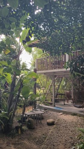 Un jardín fuera de hijau