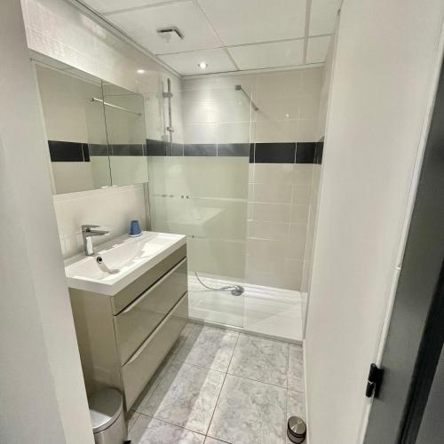 une salle de bain avec douche et lavabo dans l'établissement Le Mas Des Oliviers, à Agde