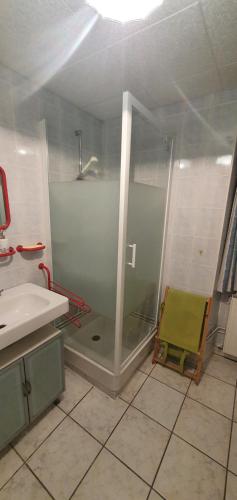 a bathroom with a shower and a sink and a shower at Meublés B-D in Bains-les-Bains