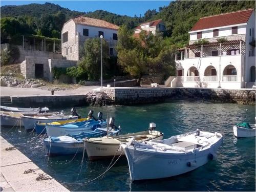 Φυσικό τοπίο κοντά σε αυτό το διαμέρισμα