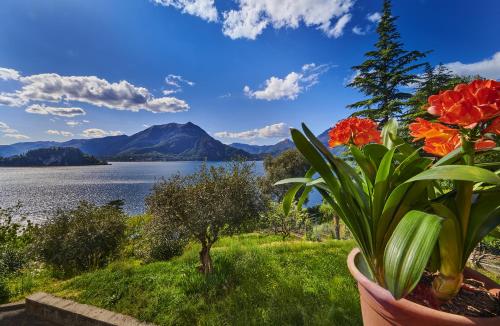 Photo de la galerie de l'établissement Casa Clivia, à Varenna