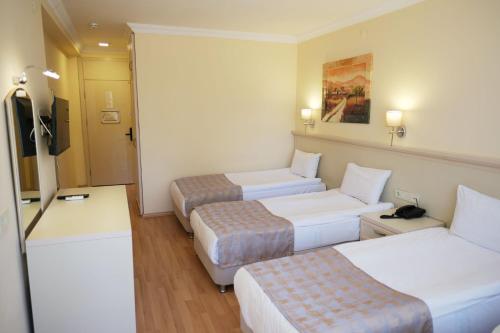 チャナッカレにあるTroia Tusan Hotelのギャラリーの写真
