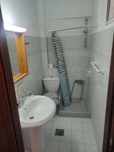 uma pequena casa de banho com lavatório e WC em Roses Studios em Cárpatos