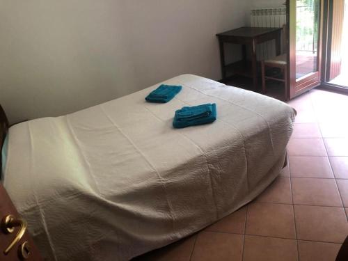 a bed with two blue pillows on top of it at Villa Natale in Sestola