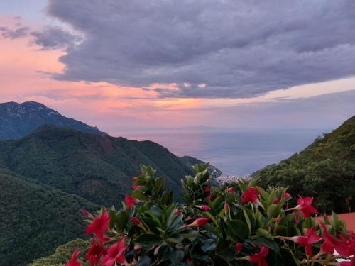 a bush with red flowers in front of a mountain at Adagio Ravello in Ravello