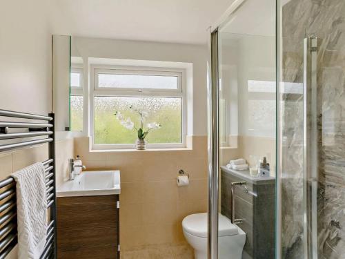 納爾斯伯勒的住宿－Claro Mews Gem，一间带卫生间、水槽和窗户的浴室