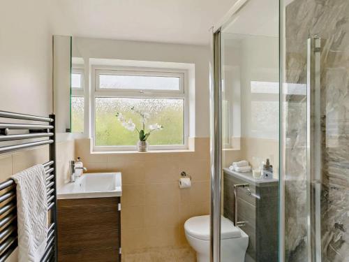 a bathroom with a toilet and a sink and a window at Claro Mews Gem in Knaresborough