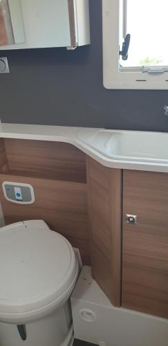 a small bathroom with a toilet and a sink at Camper Relax in Murter Slanica beach - with clima in Tisno