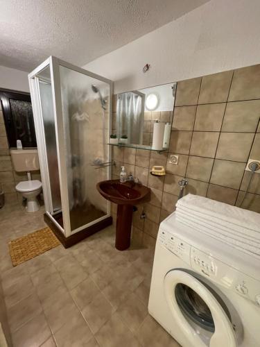 a washing machine in a bathroom with a shower at Holiday home Noeli & Diego in Karlobag