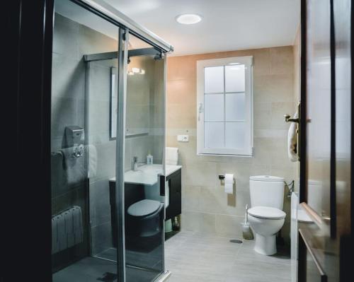 グラナダにあるApartamento Centro Granadaのバスルーム(トイレ、洗面台、シャワー付)