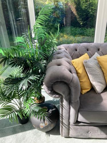 eine Couch in einem Wohnzimmer mit zwei Pflanzen in der Unterkunft The Little Acorn in Ben Rhydding