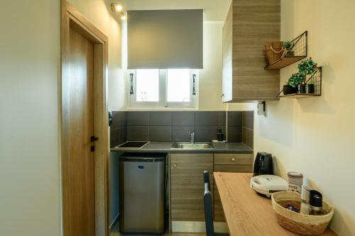 a small kitchen with a sink and a counter at Evita Studios in Svoronata