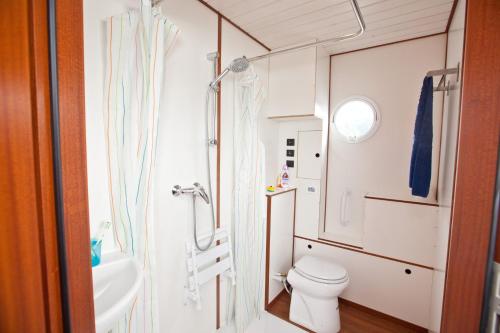 a small bathroom with a toilet and a sink at KUHNLE-TOURS Schlafen im Hafen in Rechlin