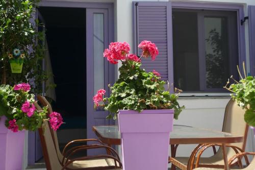 Vourkari Studio with full kitchen