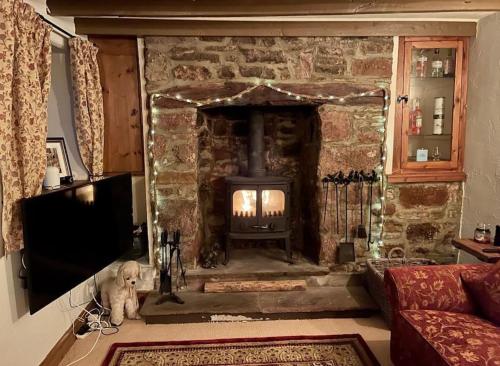 a dog sitting in front of a stone fireplace at Crossways Cottage - Symonds Yat in Symonds Yat