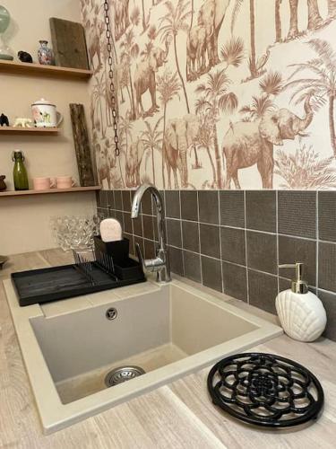 un évier dans une cuisine avec un robinet et un mur dans l'établissement Relax & Jacuzzi proche cité de Carcassonne, à Pennautier