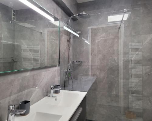 une salle de bain avec un lavabo et une douche en verre dans l'établissement LA PRESQU'ILE T2 PALM BEACH MOURE ROUGE, à Cannes