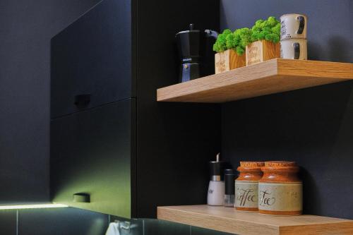 a kitchen with wooden shelves with plants on them at Central Apartments in Odesa