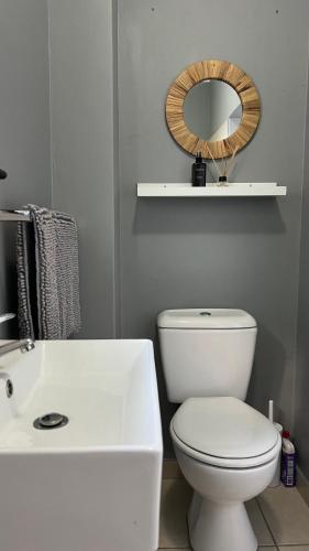 a bathroom with a white toilet and a mirror at Robyns Nest Self Catering Cottage No1 in Kloof
