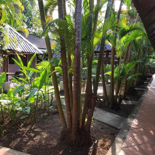 Gallery image of Captain Chim's Guest House in Kep