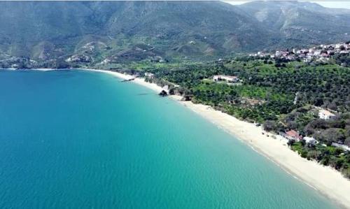 Nostalgia Guesthouse