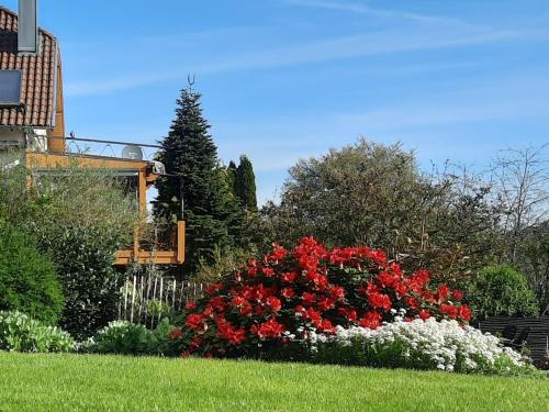 a garden with red and white flowers in a yard at Studio Klimt Eupen in Eupen