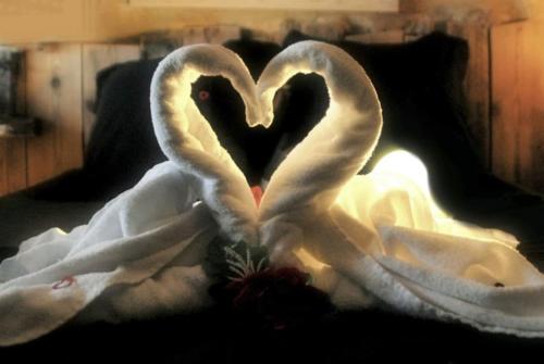 Zwei weiße Schwäne bilden ein Herz auf einem Bett in der Unterkunft Appartement romantique avec jacuzzi et terrasse in Perpignan