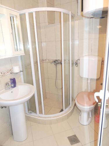 a bathroom with a shower and a toilet and a sink at Sea View Apartment Ulcinj 80 m² in Ulcinj
