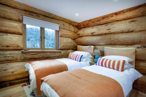 two beds in a room with wooden walls at Frankaborough Lodge in Virginstow