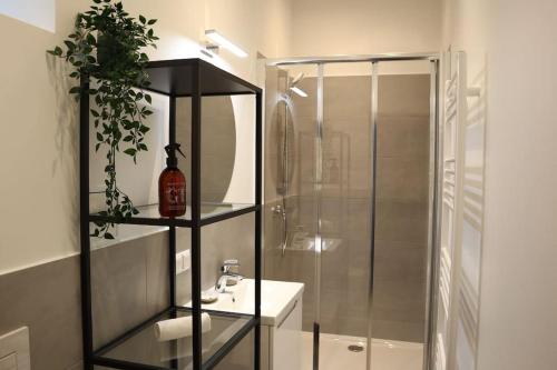 a bathroom with a shower and a sink and a mirror at BLOOM - Cozy Apartment, 5 stops to City Center in Vienna