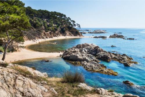 a beach with rocks in the water and trees at La Fosca in Palamós