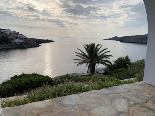 a view of a body of water with a palm tree at Greek traditional Island Villa Sai Villa in Loutrá