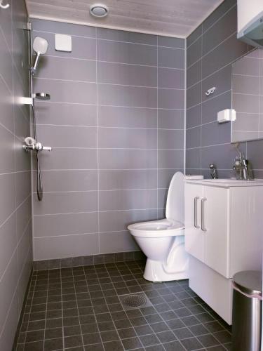 a bathroom with a toilet and a shower at Willa Rauha 2B, minikoti, wifi, ei saunaa in Lumijoki
