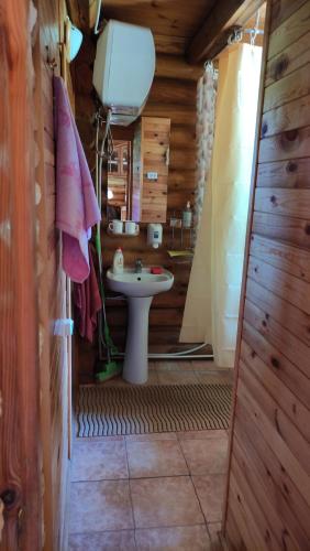 Baño con lavabo y aseo en una cabaña en Gojaus smukle, en Molėtai