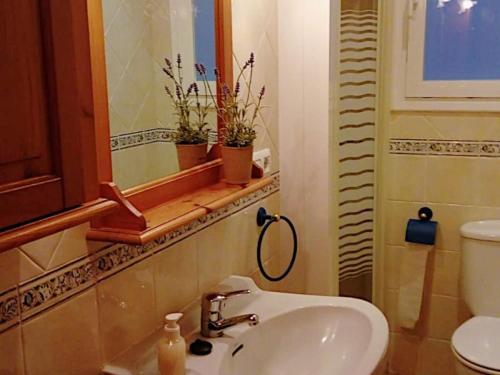 a bathroom with a sink and a mirror and a toilet at Llar Montagut Torredembarra in Torredembarra